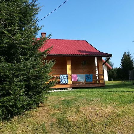 Labudowka Polańczyk 외부 사진